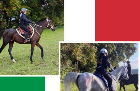 Marzotto e di Rosa a segno all''Endurance Bavaria.