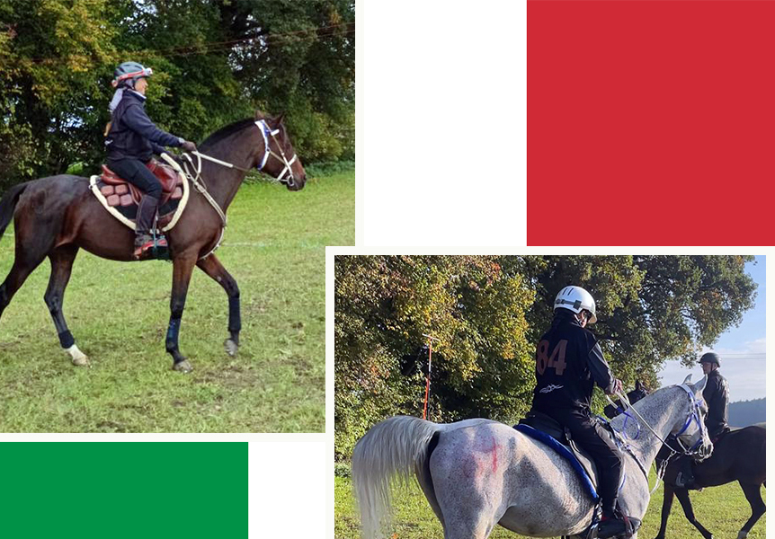 Marzotto e di Rosa a segno all''Endurance Bavaria.