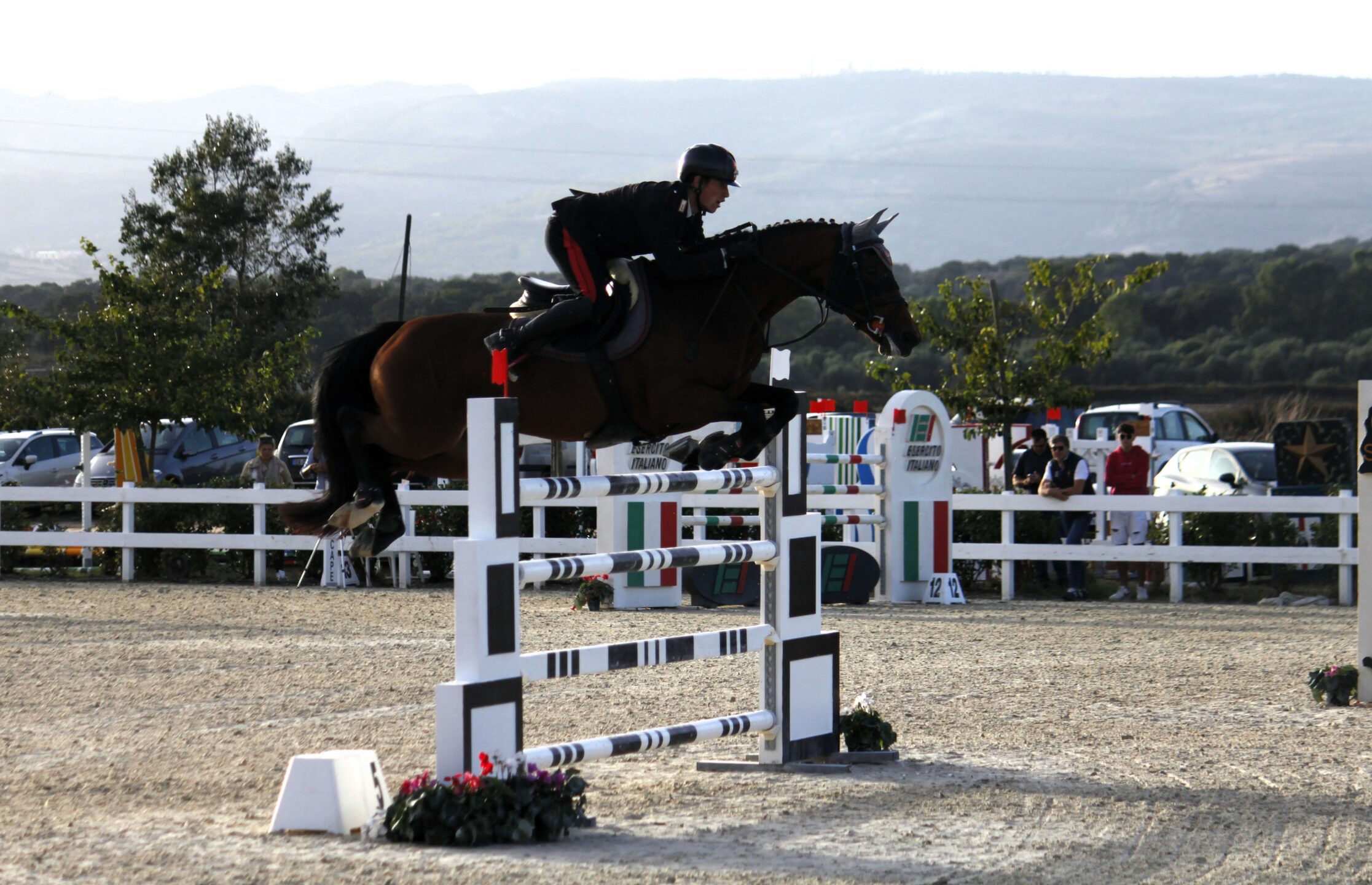 Salto Ostacoli di gran livello a Tanca Regia con il Sardegna Jumping Tour la finale del Trofeo Asvi 1 Francesco Correddu su Agrado