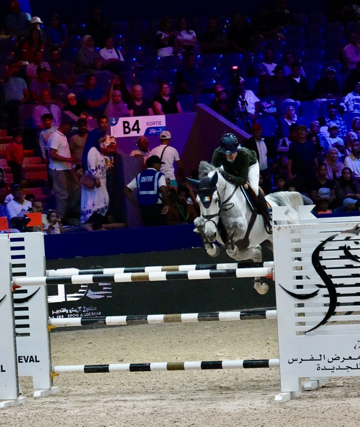 “Segui il tuo istinto”: una conversazione con la giovane stella del salto ostacoli Molly Hughes Bravo 1 IMG 4505