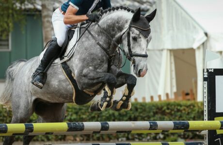 L'importanza dell'equilibrio nell'equitazione