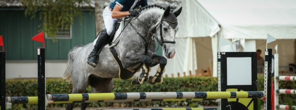 L'importanza dell'equilibrio nell'equitazione