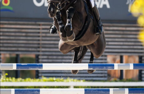 Mathijs van Asten and Orlando van de Afspanning