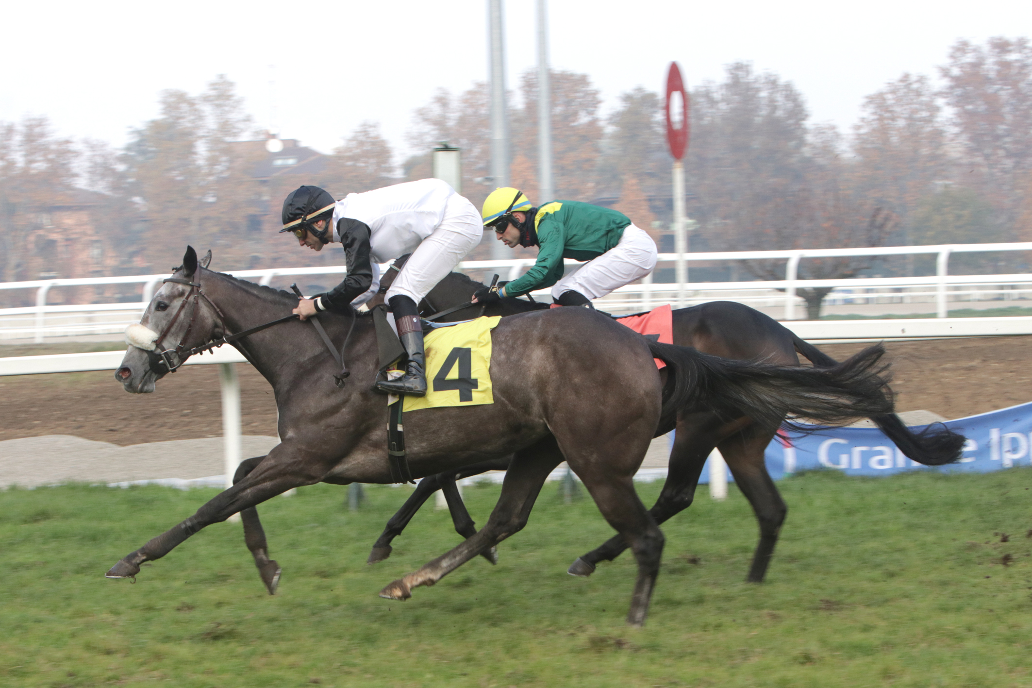 All'Ippodromo Snai di San Siro super week-end di galoppo 3 PREMIO ETEOCLE BASSI 2024 SAN SIRO GALOPPO MILANO