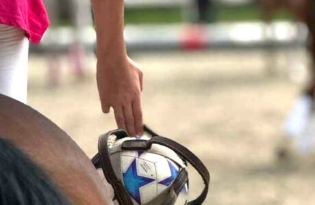 Progetto enjoy horse-ball