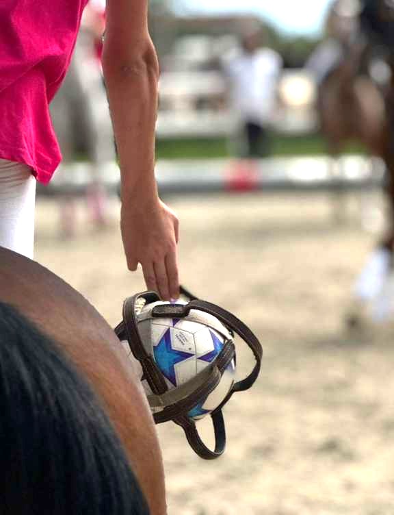 Progetto enjoy horse-ball