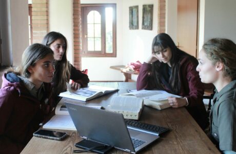 Il ruolo del Tecnico Veterinario Equino per il benessere del cavallo 1 Tecnico Veterinario Equino una professione grazie a Vet education (5)