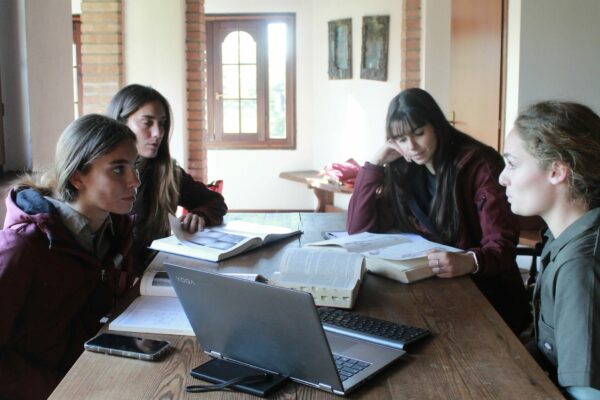 Tecnico Veterinario Equino una professione grazie a Vet education (5)