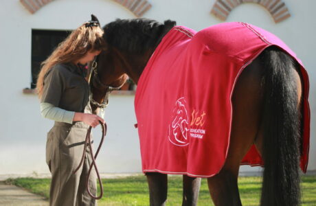 Tecnico Veterinario Equino una professione grazie a Vet education (5)