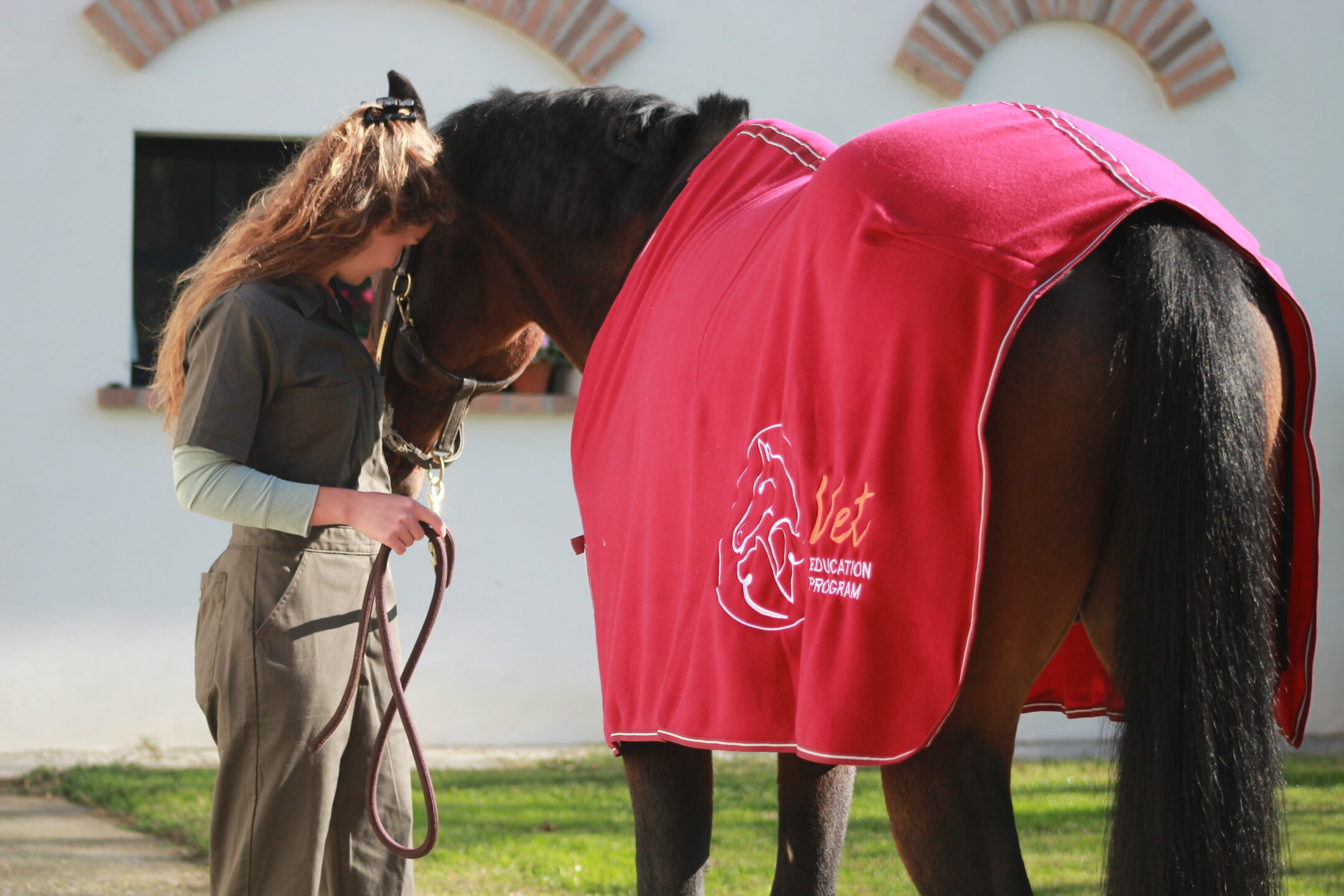 Il ruolo del Tecnico Veterinario Equino per il benessere del cavallo 1 Tecnico Veterinario Equino una professione grazie a Vet education (5)