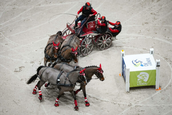 Sette driver alla conquista della più grande arena indoor del mondo