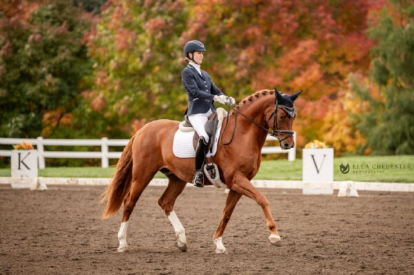 Fantastic Five: Nadine Schwartsman domina i Regionali USDF 2025 e vola alle Finali