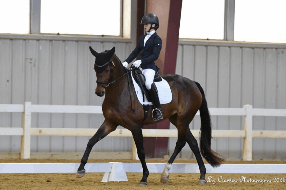 Early Mornings Reap Rewards for Motivated Triple Winner Emily O’Neill at USDF Regional Championships 2 image