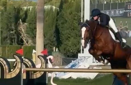 Jodie Hall McAteer vince il Gran Premio del CSIO3* di Vejer de la Frontera. Settima Antonia Vita Pinardi 1 img 8441