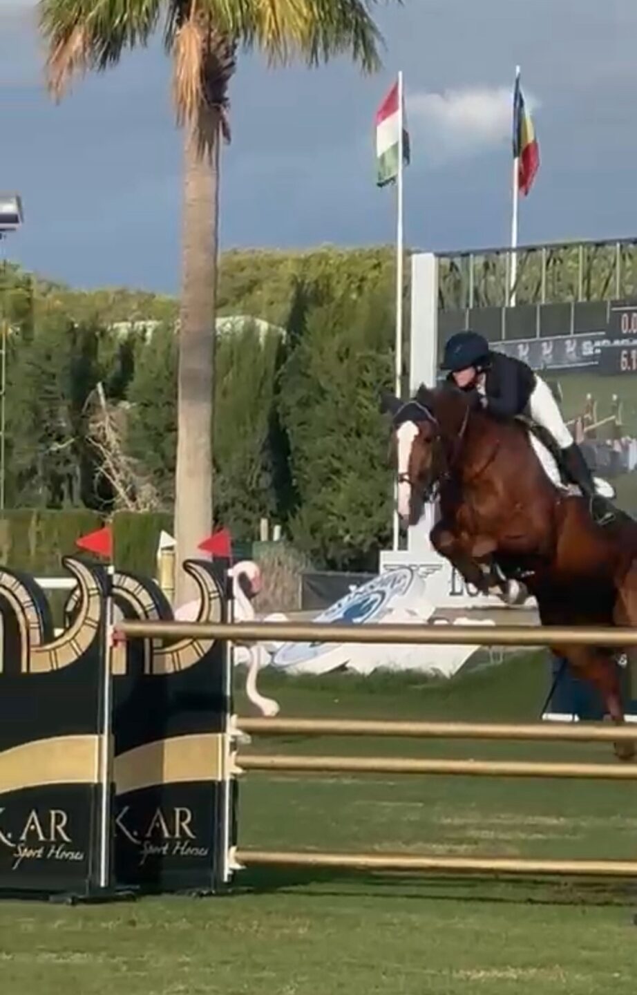 Jodie Hall McAteer vince il Gran Premio del CSIO3* di Vejer de la Frontera. Settima Antonia Vita Pinardi 1 img 8441