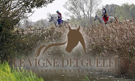 Boccadarno ride, dove il libeccio soffia storie di endurance e coraggio. 1 img 8471