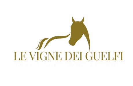 Boccadarno Endurance Ride, tra sport, ricerca, e rispetto dell'ambiente.