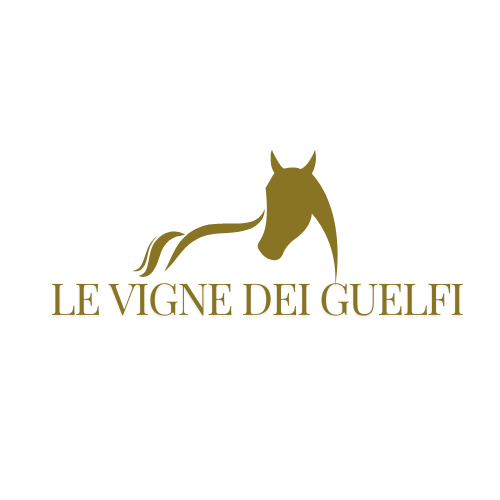 Boccadarno Endurance Ride, tra sport, ricerca, e rispetto dell'ambiente.