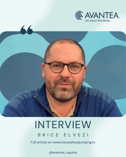 post interview avantea ig
