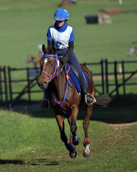 Occhi di ragazza un cavallo per l'endurance