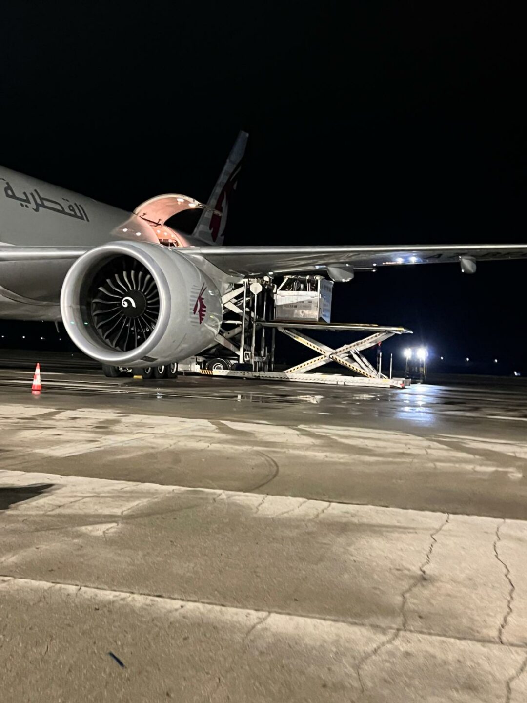 trasporto aereo dei cavalli sportivi 3