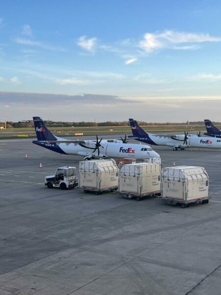 trasporto aereo dei cavalli sportivi (4)