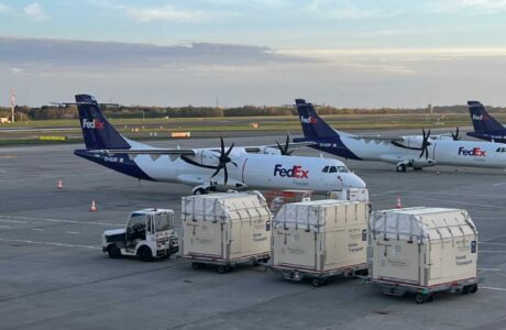 trasporto aereo dei cavalli sportivi (4)