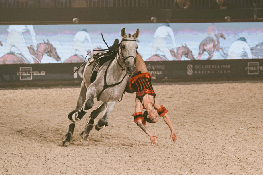 Bellezza, la poesia dell'arte equestre in scena a Fieracavalli. 2 unnamed531