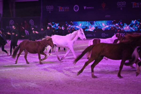 Bellezza, la poesia dell'arte equestre in scena a Fieracavalli.