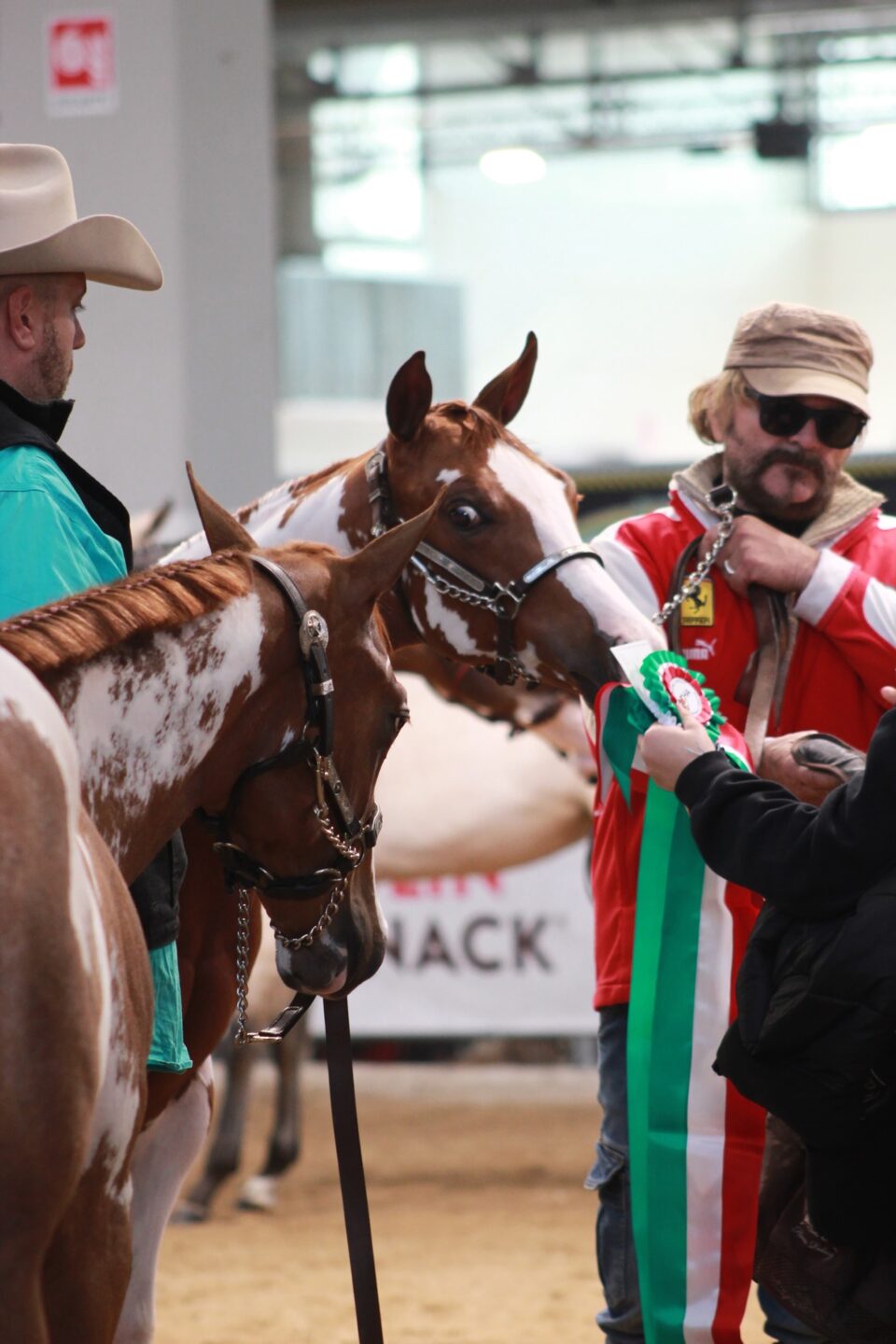 12705cbd aa27 4b1a be0b a4a760eae7e7