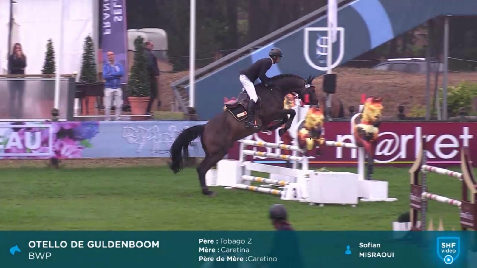 1d25eb9a f254 47ff 8e3b dfe848db1a66