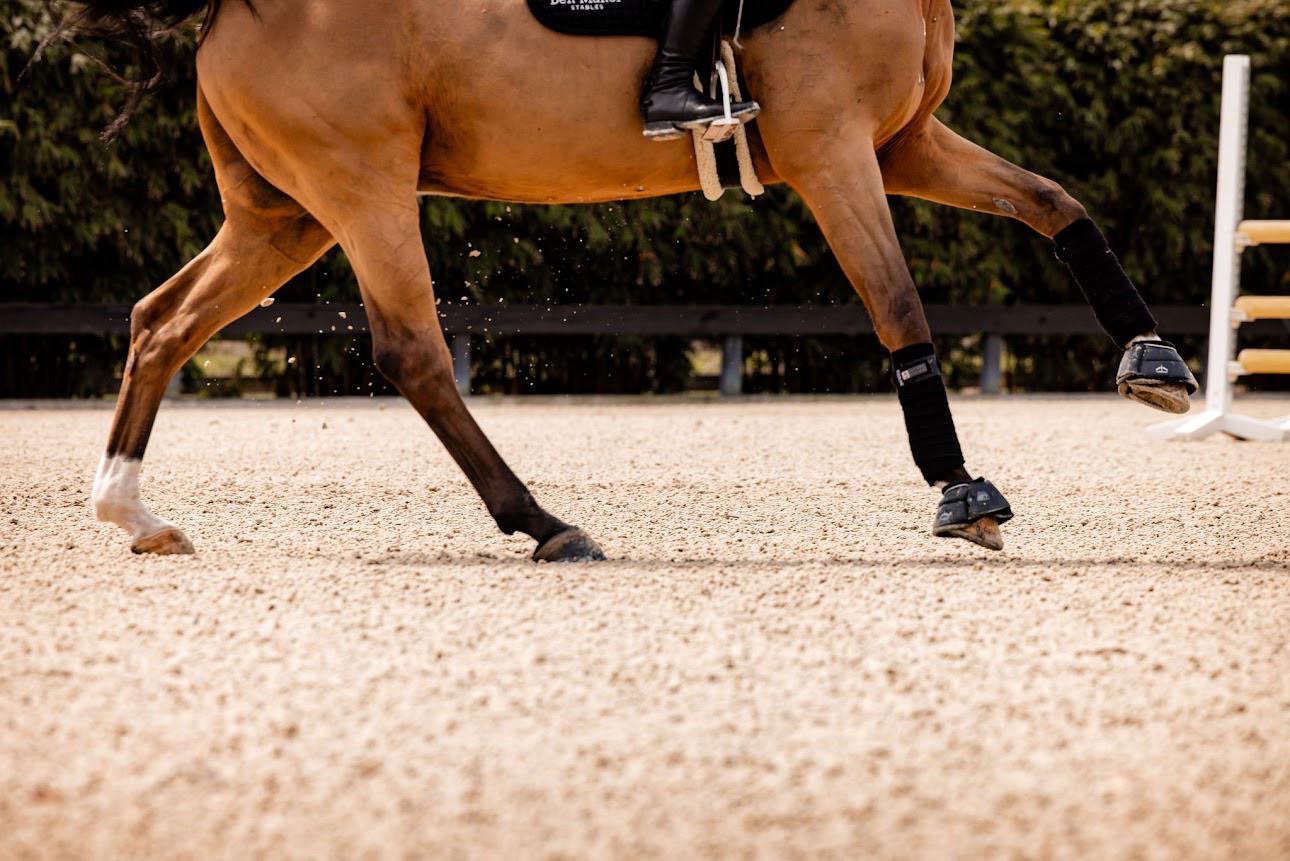 403a52c2 a769 477c 886d 6fd404d65c10