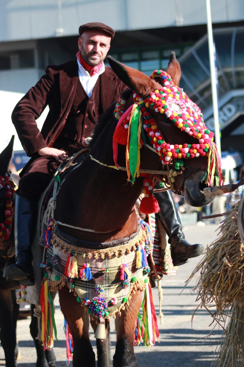 41b9ecfe 028d 437d bc9a 99dc3050eaf8