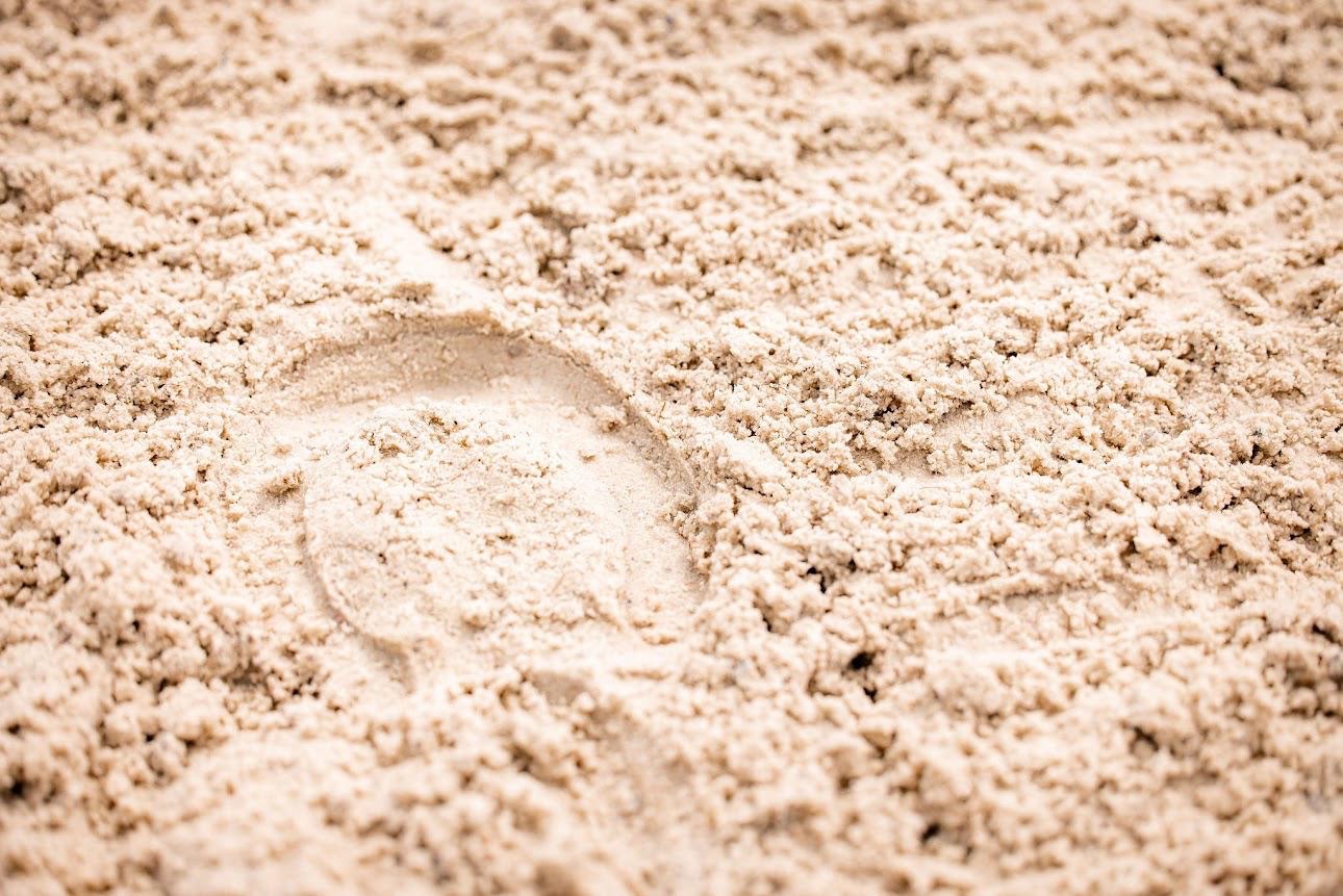 46ed44b8 acdc 4087 b97b 2c56ca91d426