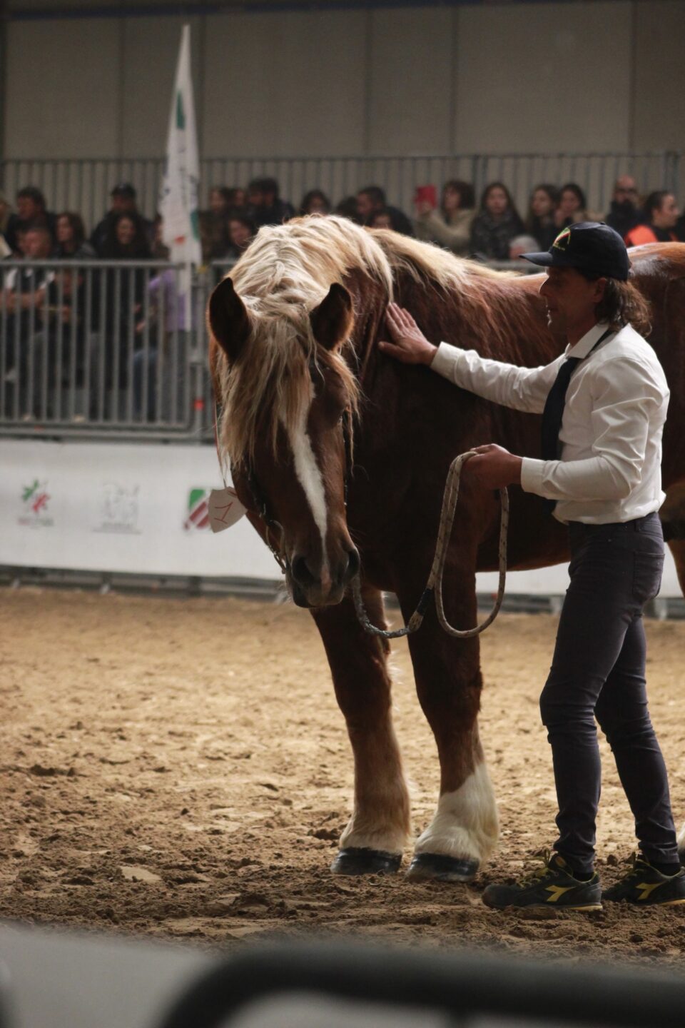 577fa188 273c 4ee5 9a66 55e6e8d88a15