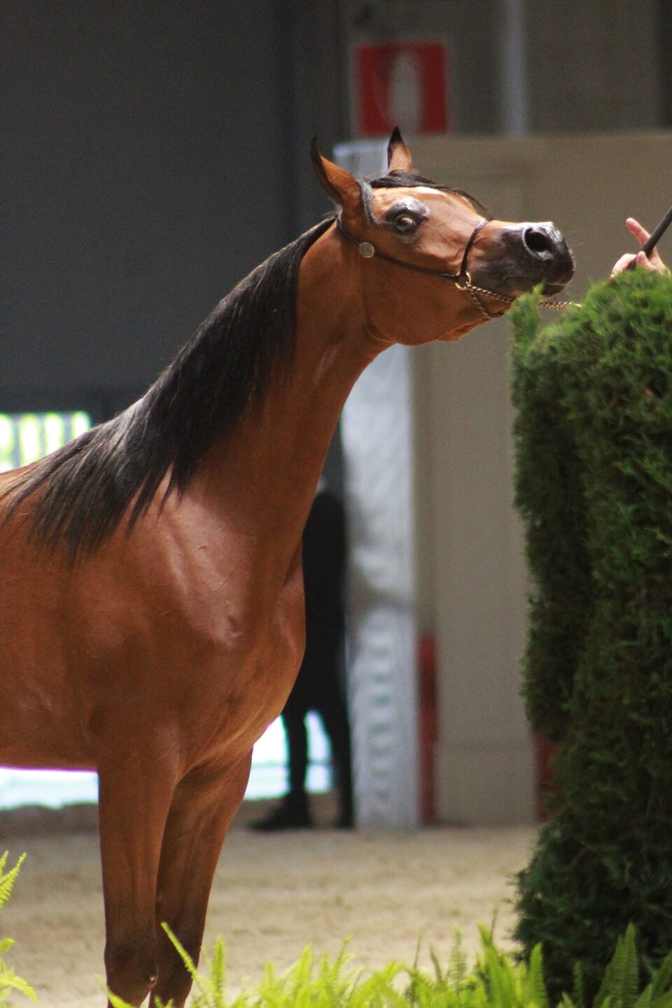 72cd9026 6a5a 4c85 adc3 effa3ca04bb9