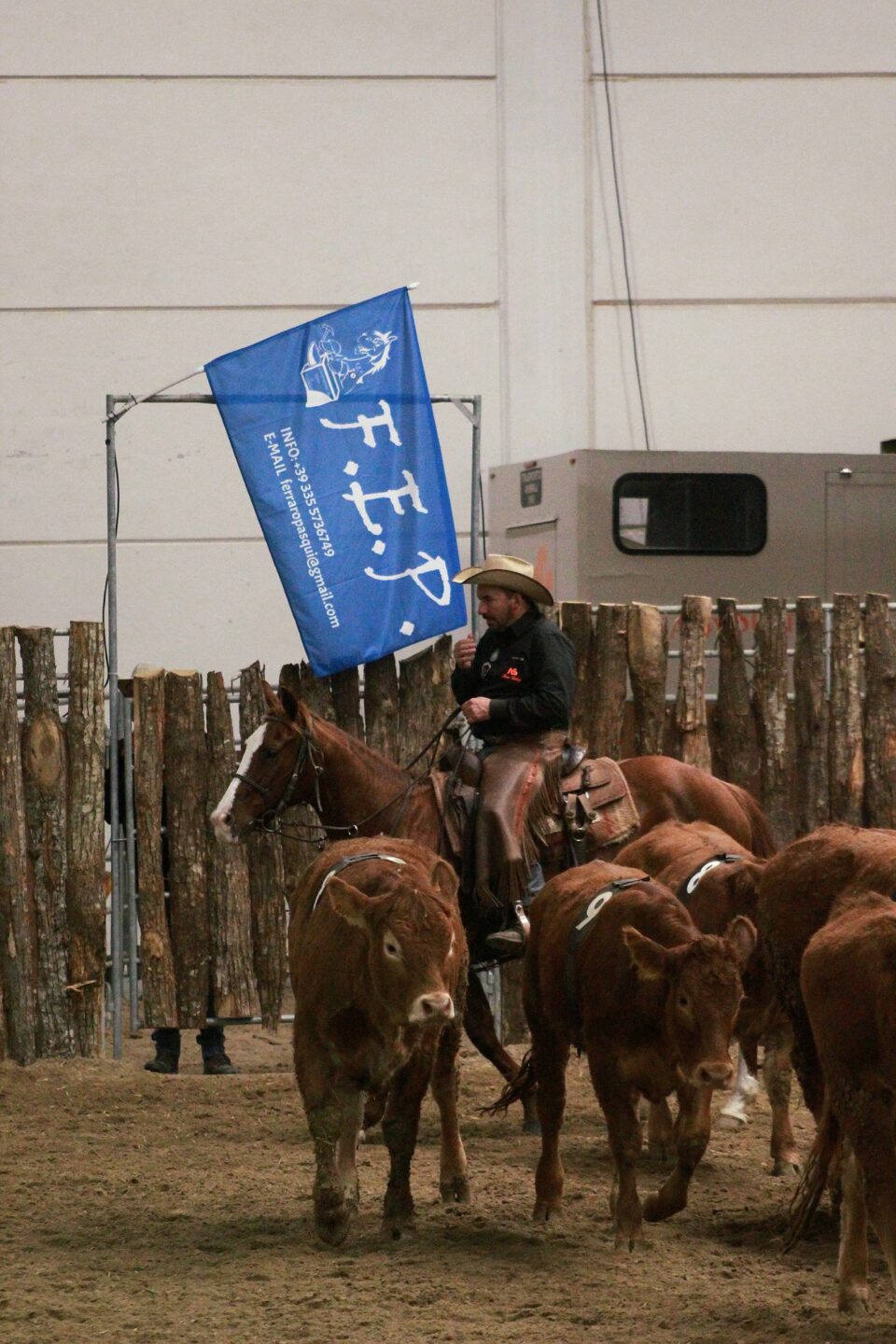 7c4e4265 4ba1 4faf 9fc3 218d688ee6ef