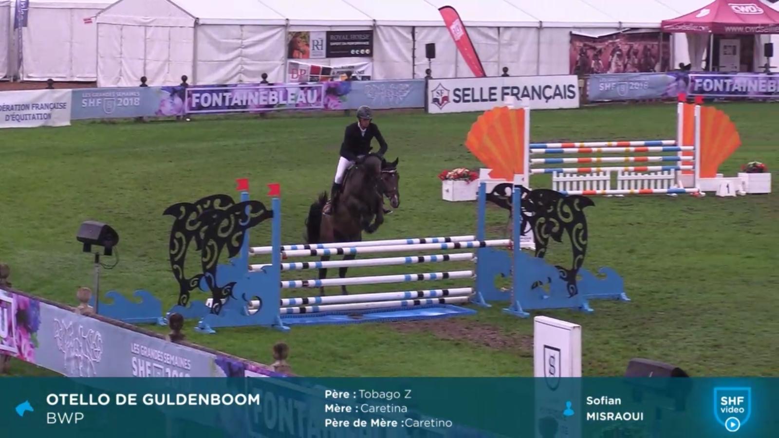 7d063632 5ccb 41ba a1c6 938aab87ba56