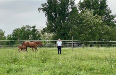 9176cbc0 1a48 4565 b700 7aba9eb471bf