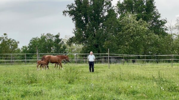 9176cbc0 1a48 4565 b700 7aba9eb471bf