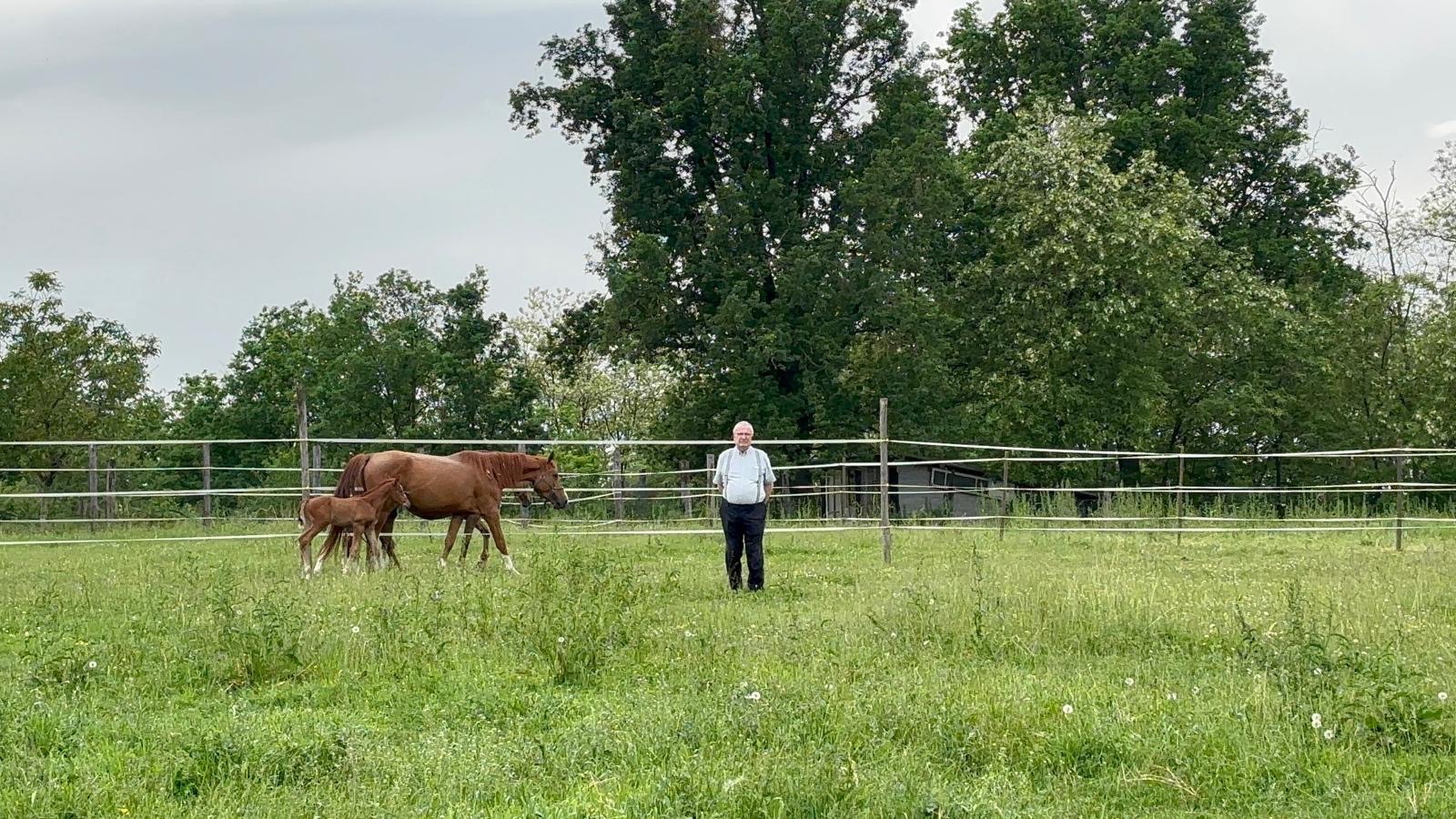 9176cbc0 1a48 4565 b700 7aba9eb471bf