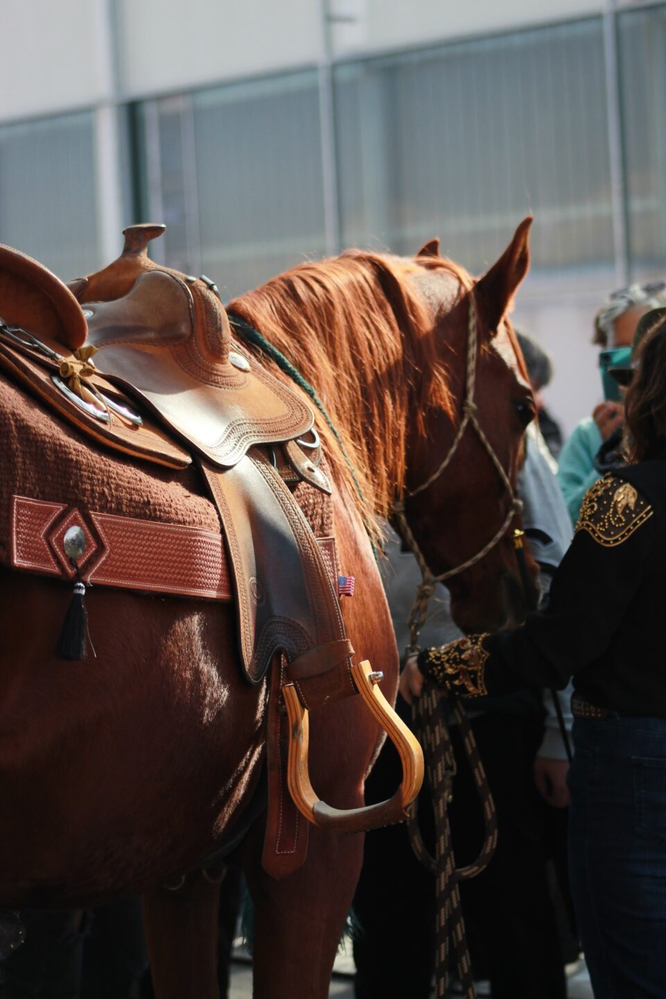 9bbf7f0a e1e6 478e a1b7 019869c1b6d8