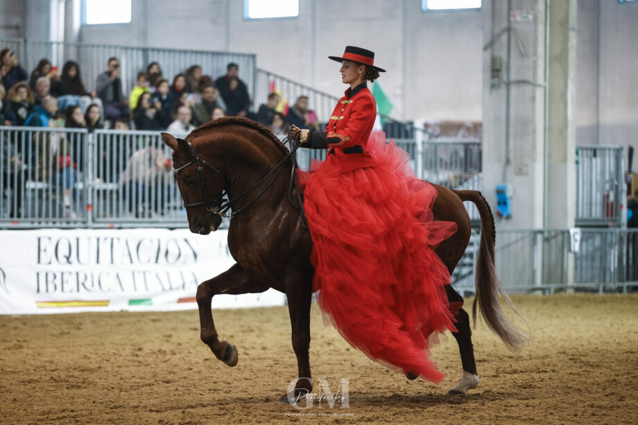 Fieracavalli 2025, al via oggi con 2,200 cavalli, 700 aziende e 200 eventi. 3 AA 8587