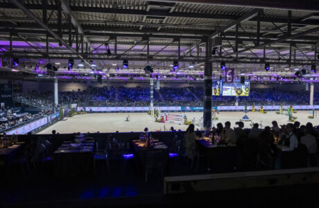 Avantea Verona 20241108 SS357107