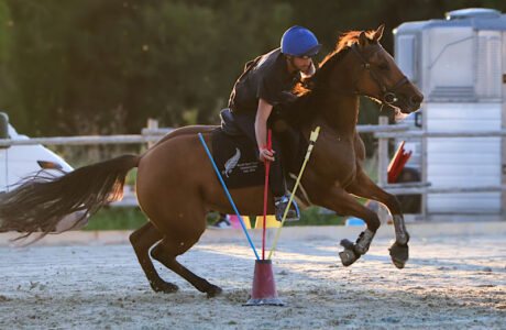 Mounted Games foto di un binomio generico