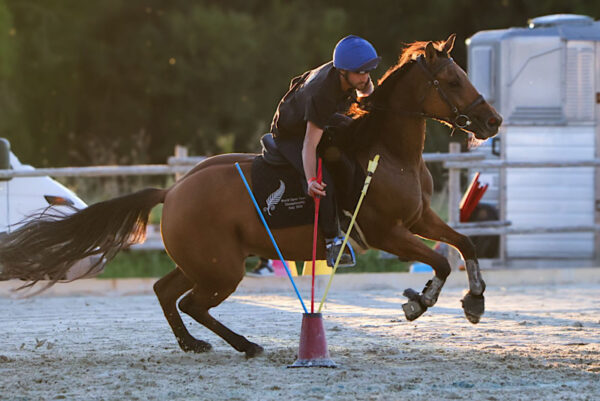 Mounted Games foto di un binomio generico