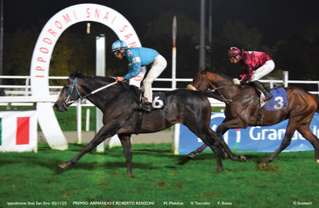 Corsa5_PREMIO ARMANDO E ROBERTO RENZONI