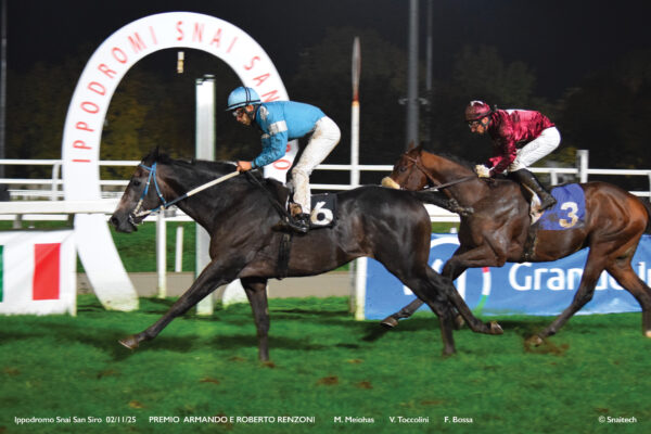 Corsa5_PREMIO ARMANDO E ROBERTO RENZONI