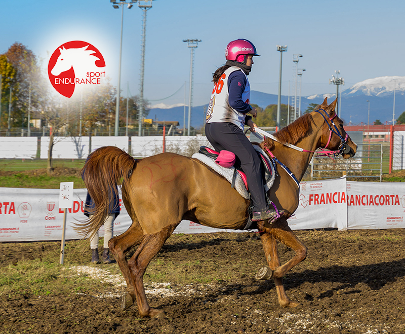 Costanza LALISCIA e AKALA NORFOLK SUNRISE 1