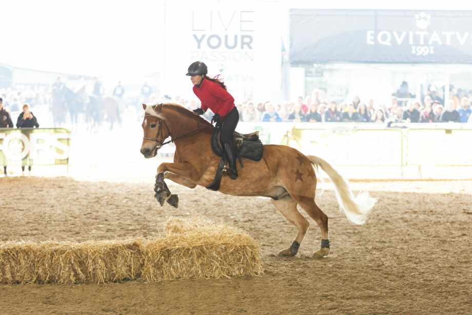 Fieracavalli 2025, al via oggi con 2,200 cavalli, 700 aziende e 200 eventi. 2 Fieracavalli 2024 Area A 1